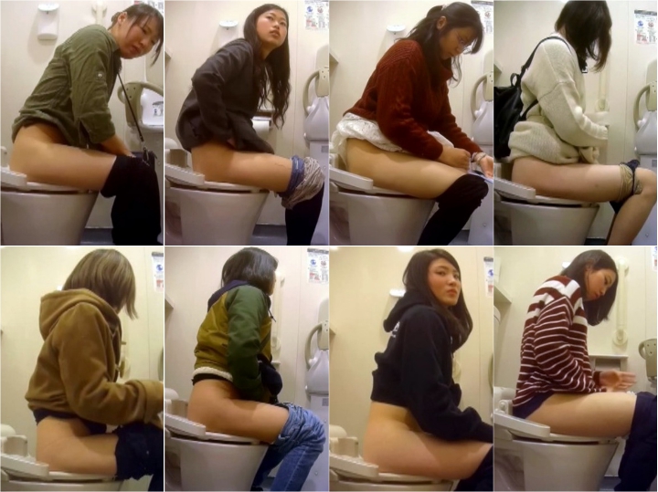 japanese toilet style No.100