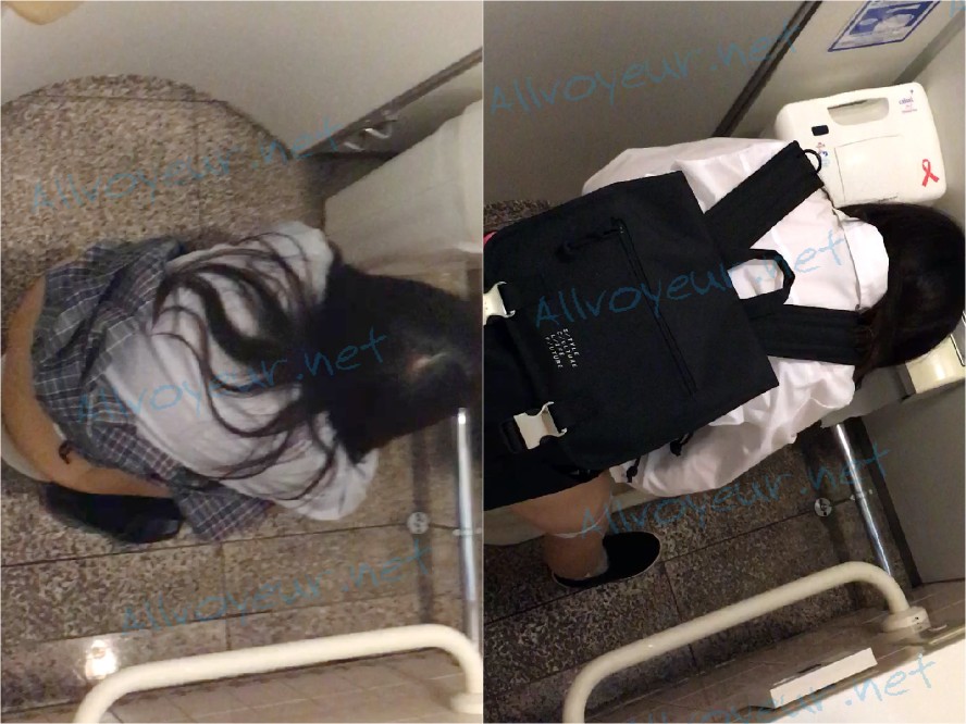 15327733