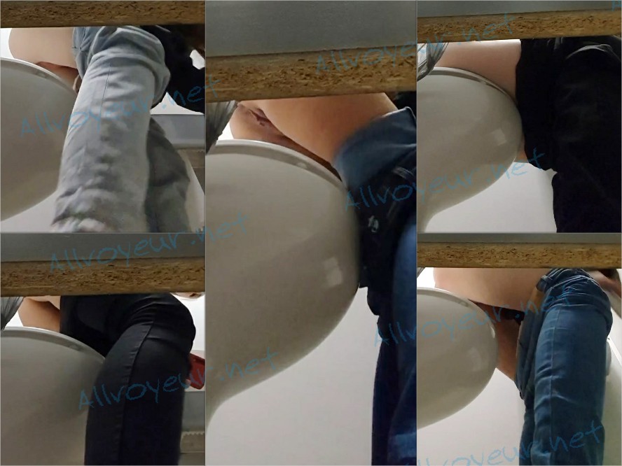 Public_toilet_8a
