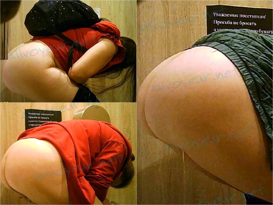 Public_Toilet_184