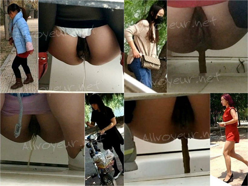 Chinese_Park_Toilet_1