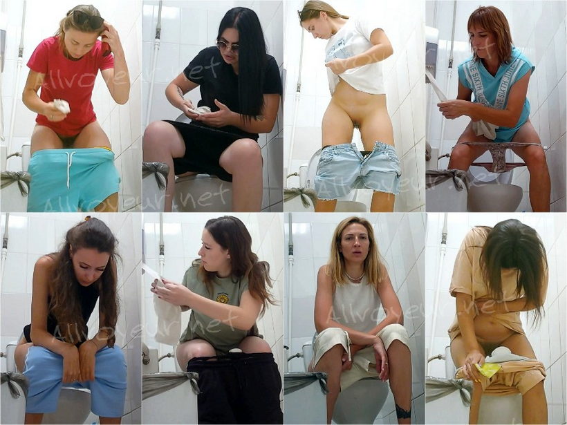 Shopping_Center_Toilet_26