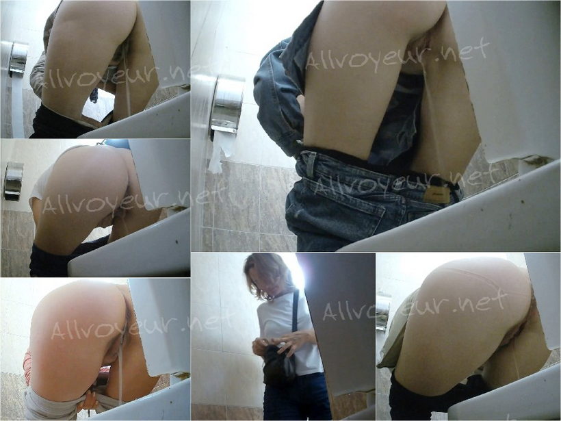 Gas_Station_Toilet_24