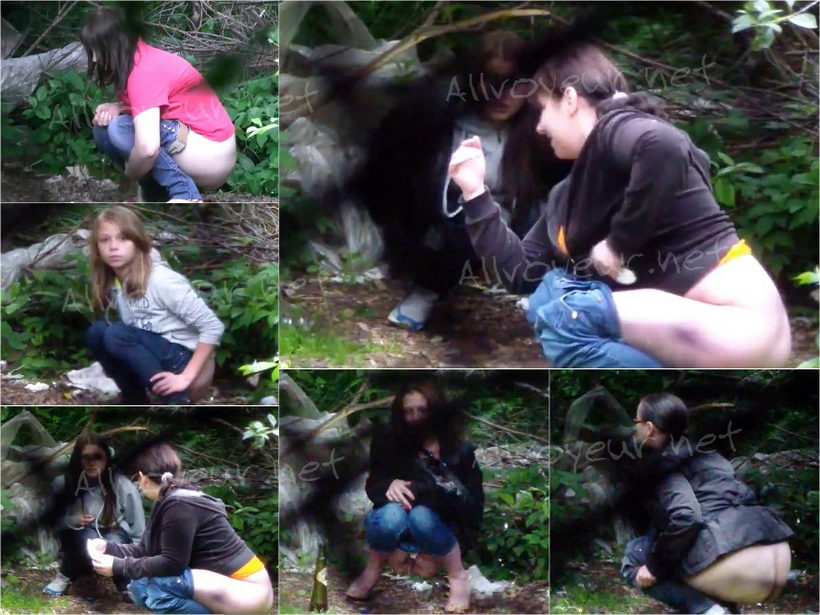 Forest Toilet 3-6