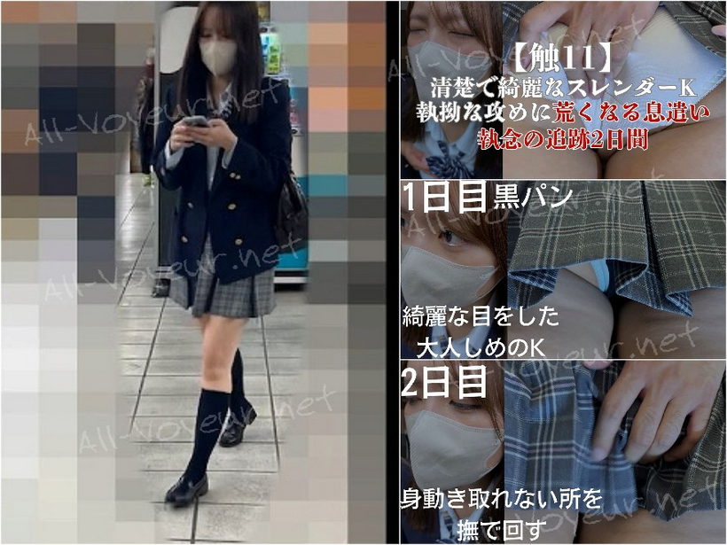 【触11】清楚で綺麗なスレンダーK、執拗な攻めに耐えて荒くなる息遣い 執念の追跡２日間
