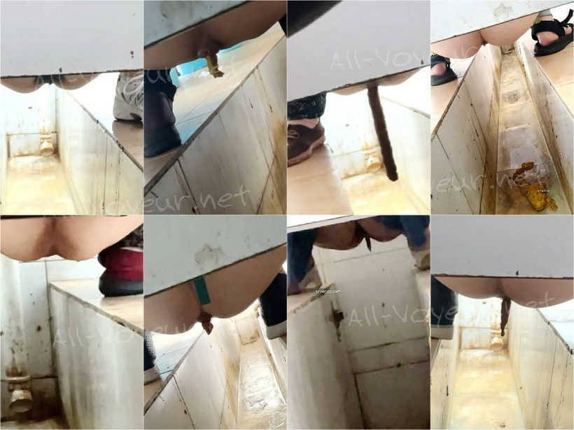 【重口厕拍】女拍手沟式旱厕偷拍-满屏大便 拉稀第25期60V[某房原版]