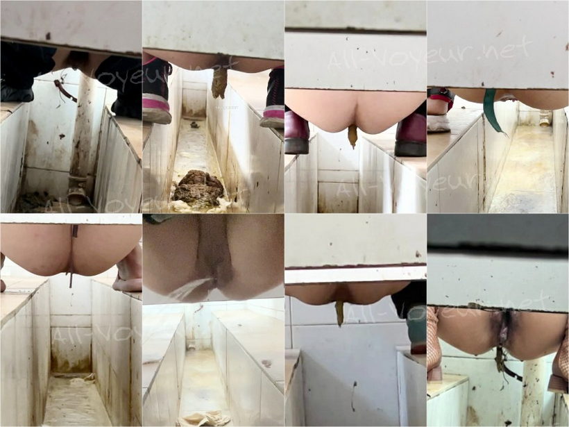 【重口厕拍】女拍手沟式旱厕偷拍-满屏大便 拉稀第25期60V[某房原版]