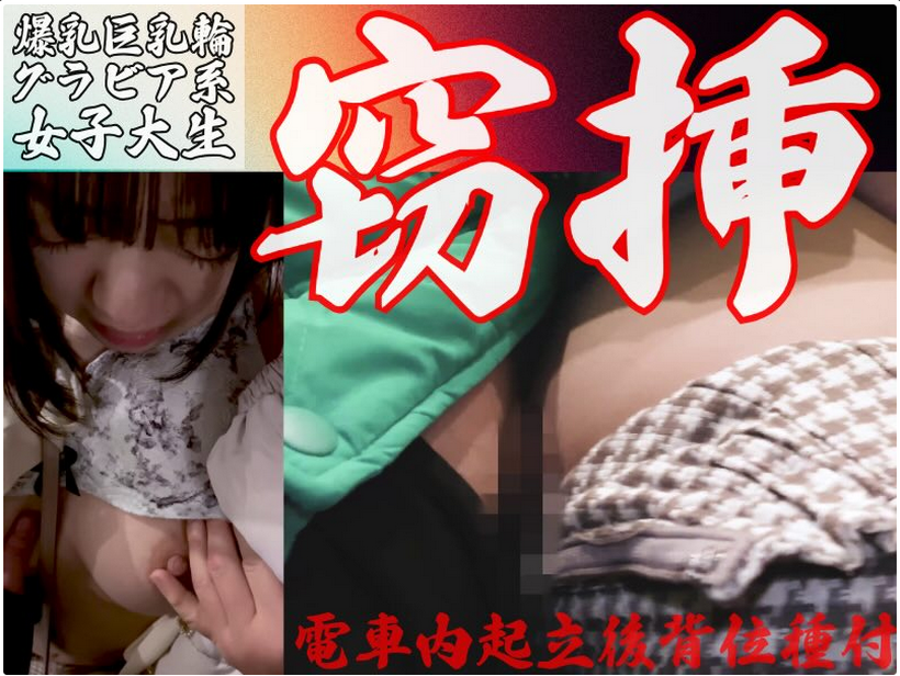 【完全期間限定/窃挿行為】一発実刑沙汰。