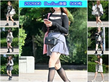 DS画像 202606版：グレーのミニスカにシアーなハイソックスを合わせた大人可愛いモデルさん他、多数収録！